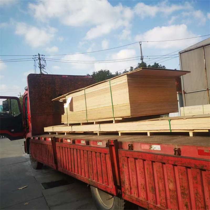 辽宁营口站前至塔城货运专线，一站式物流服务助您成功